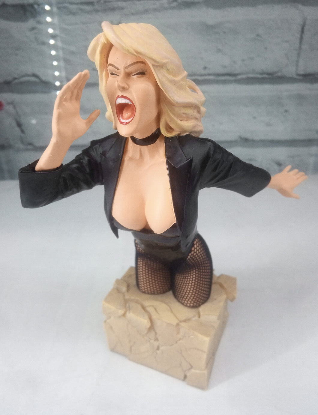 WOMEN OF THE DC UNIVERSE BLACK CANARY BUST